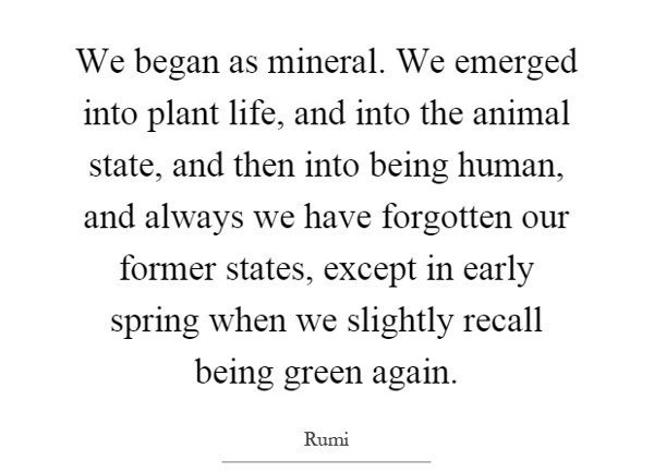 we-began-as-mineral-we-emerged-into-plant-life-and-into-the-animal-state-and-then-into-being-human-quote-1